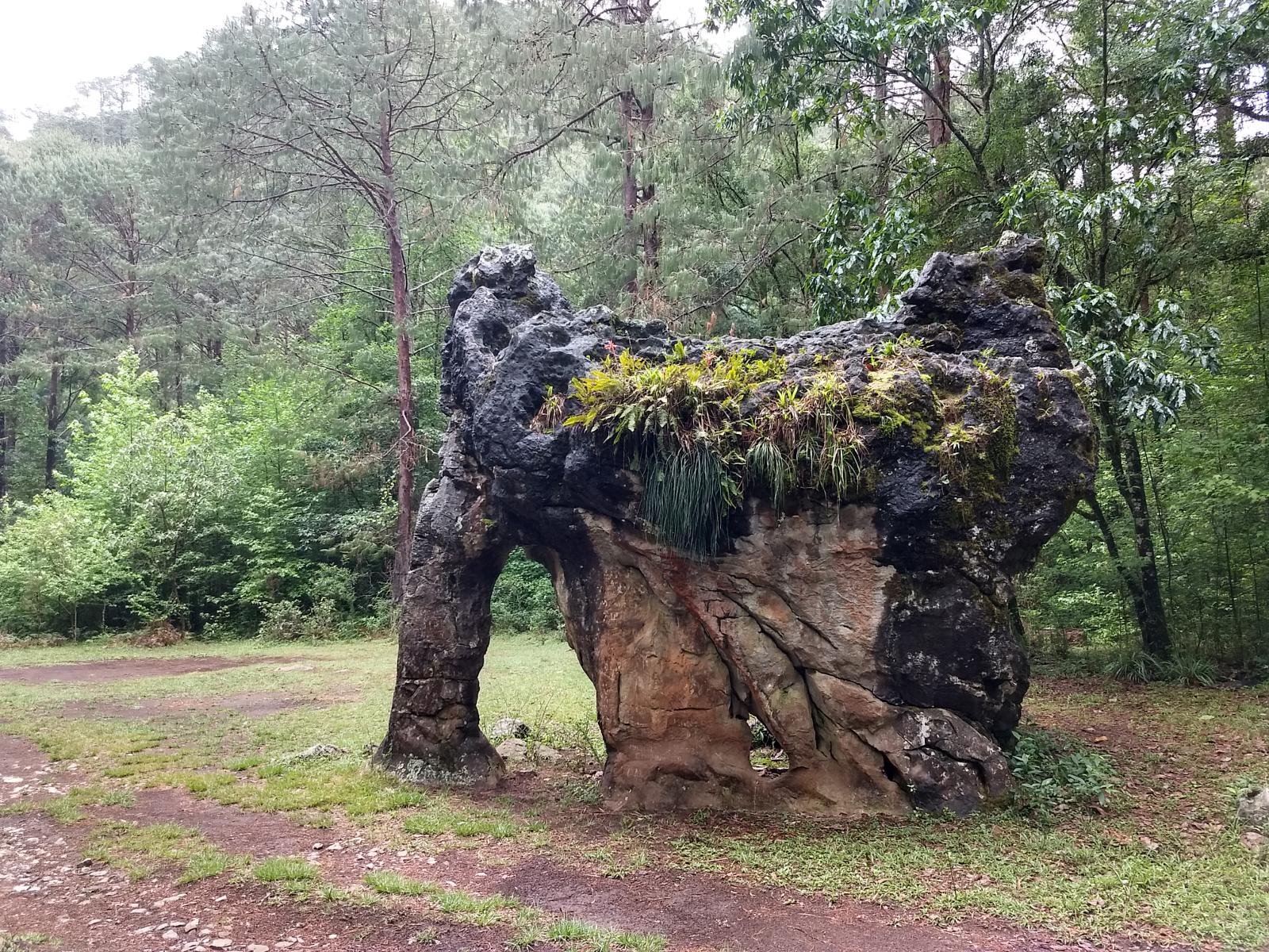 Piedra-del-Elefante-Biosfera-El-Cielo-Tamaulipas